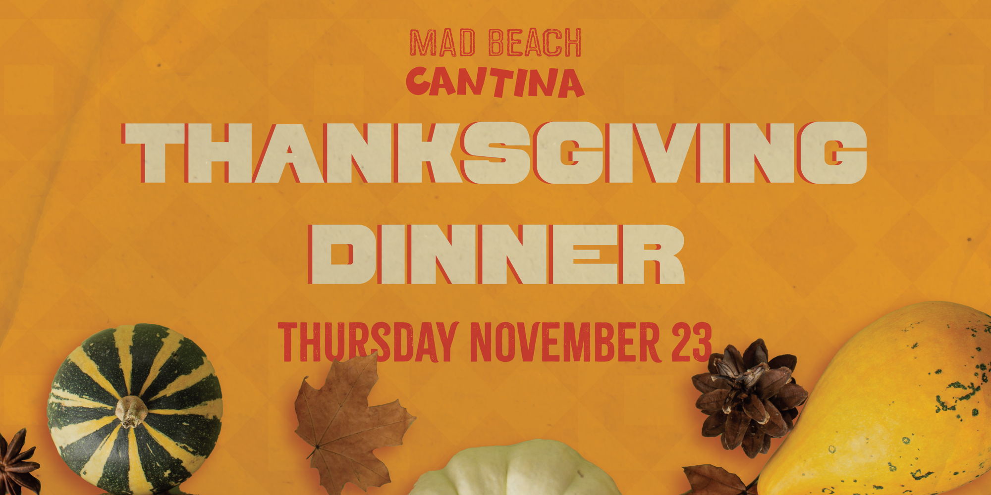 Read more about the article Thanksgiving Dinner!