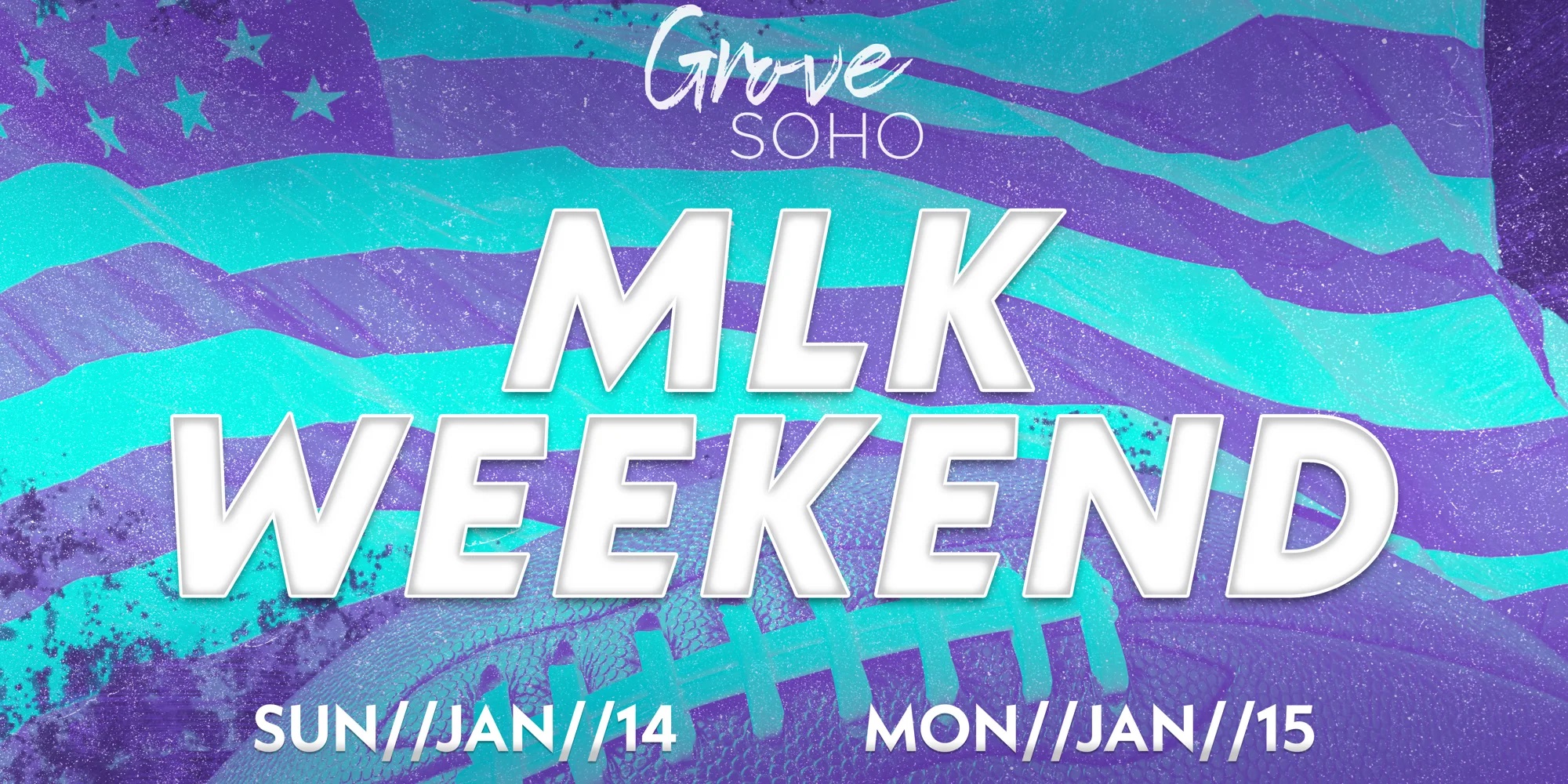 Read more about the article MLK Weekend!