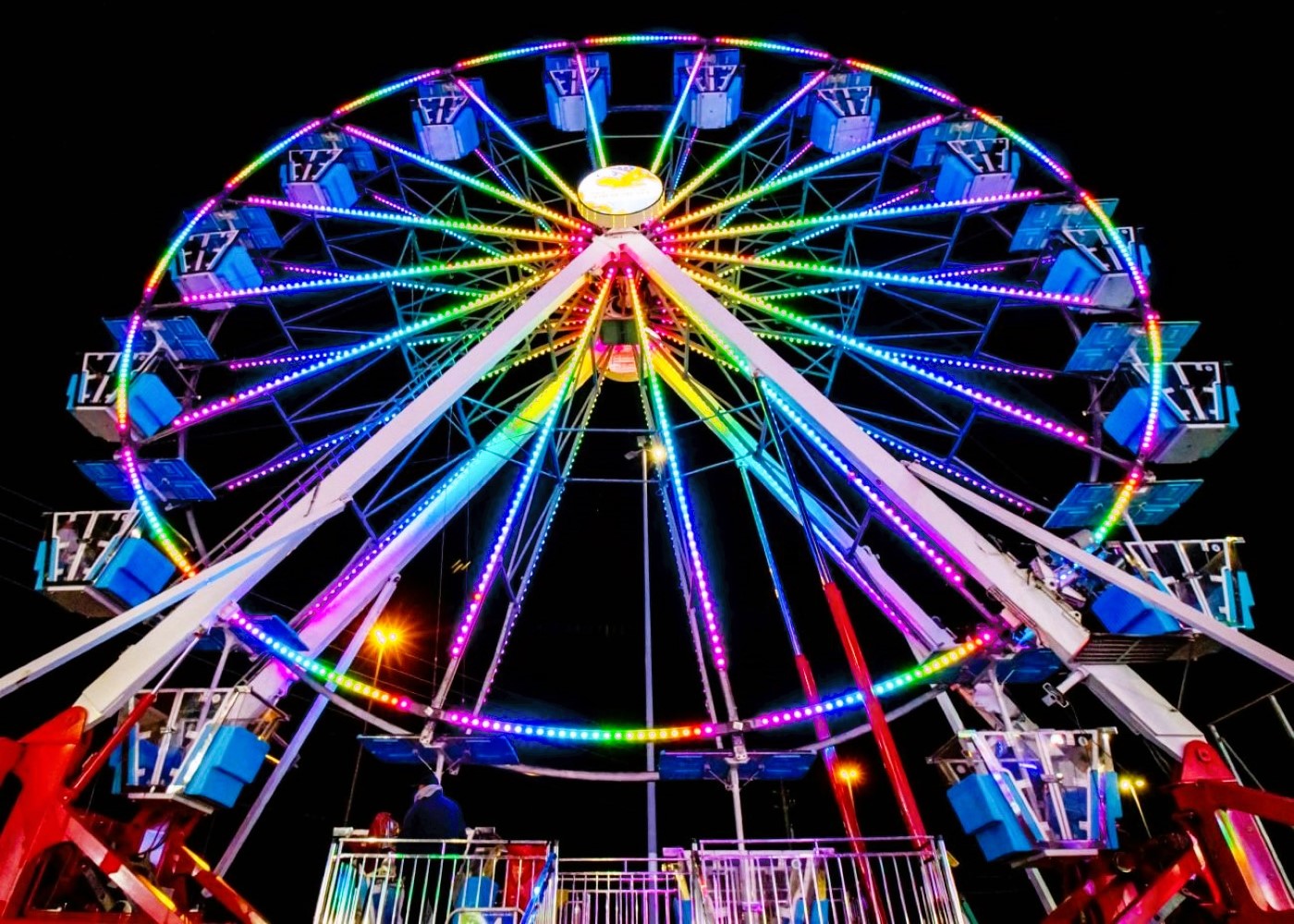 Read more about the article Hillsborough County Fair