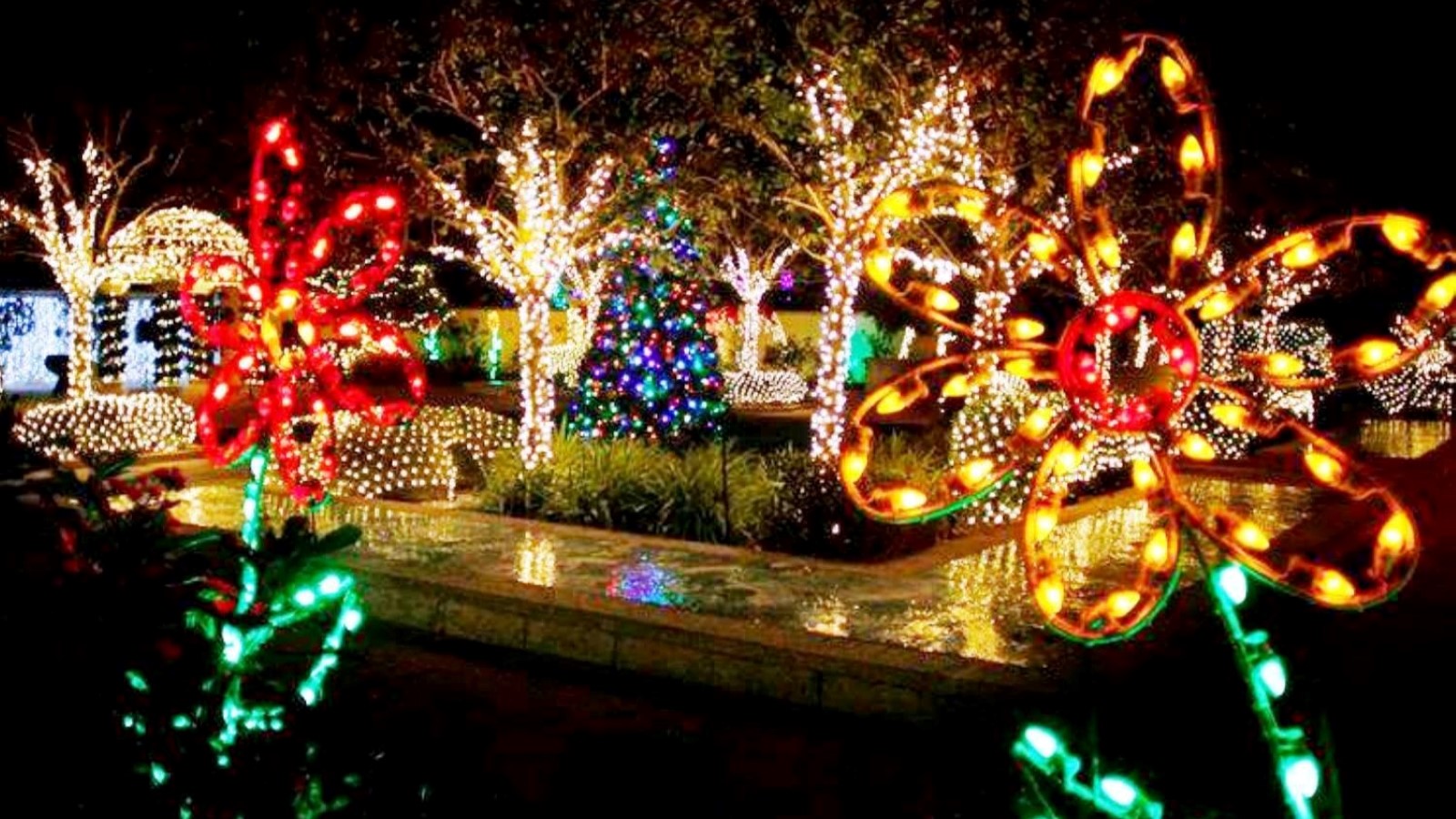 Read more about the article Holiday Lights & Rides in Largo Central Park