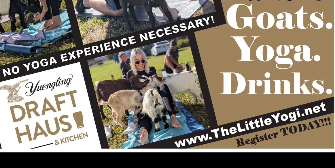 Read more about the article Goat Yoga Presented By Yuengling Bock Beer