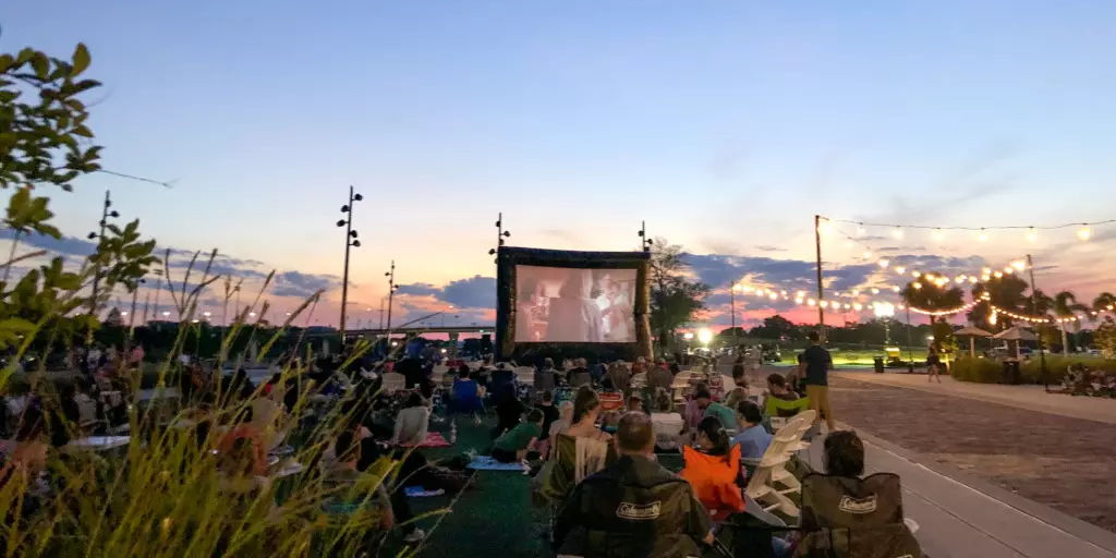 Read more about the article Movie on the Lawn – The Mighty Ducks