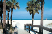 Tampa, Florida Attractions, Vacations in Tampa, Florida, Tampa Bay Area Real Estate, Tampa Bay, Tampa, Florida, Attractions in Tampa, FL, Lodging in Tampa, FL