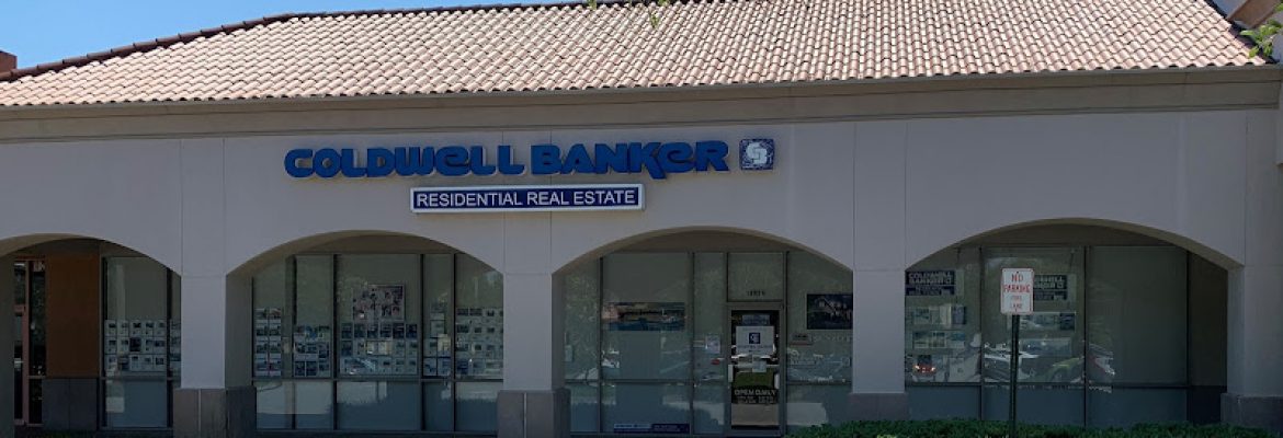 Coldwell Banker Realty New Tampa/Westchase