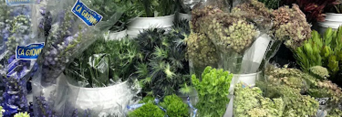 Carlstedt’s Wholesale Florist