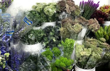 Carlstedt’s Wholesale Florist