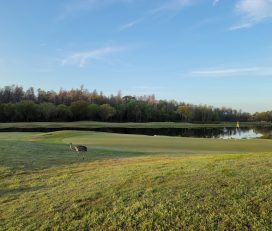 Cypress Creek Golf Club