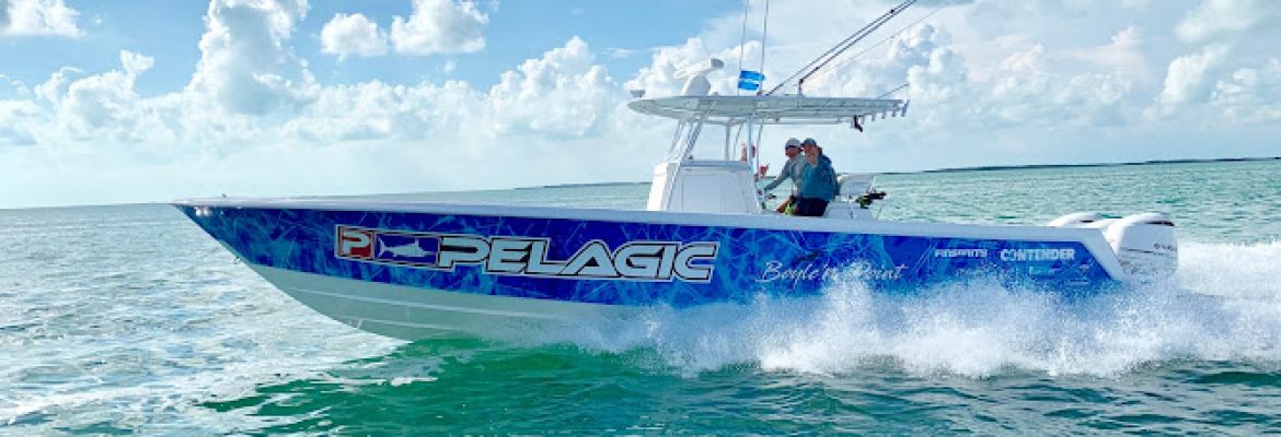 BoylenPoint Contender Dealer & Pelagic Store