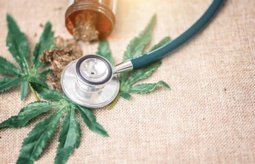 DocMJ