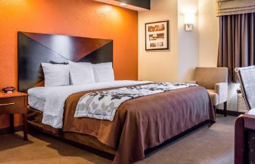 Sleep Inn near Busch Gardens – USF
