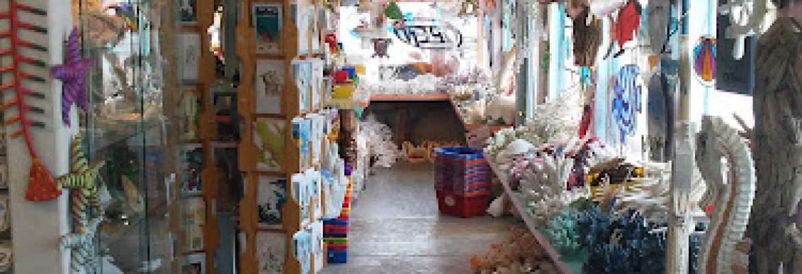 The Florida Shell Shop