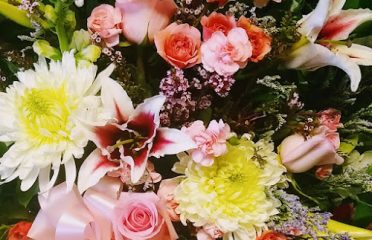 St Pete Florist – Free Delivery in St Pete and St Pete Beach