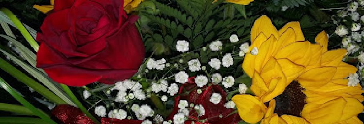 Sun City Center Flowers & Gifts, Inc.