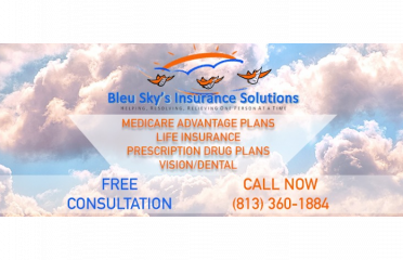 Bleu Sky’s Insurance Solutions