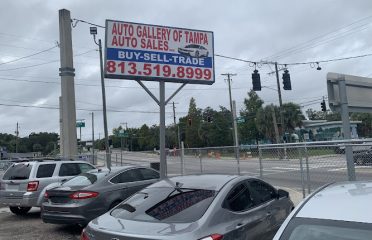 Auto Gallery of Tampa inc