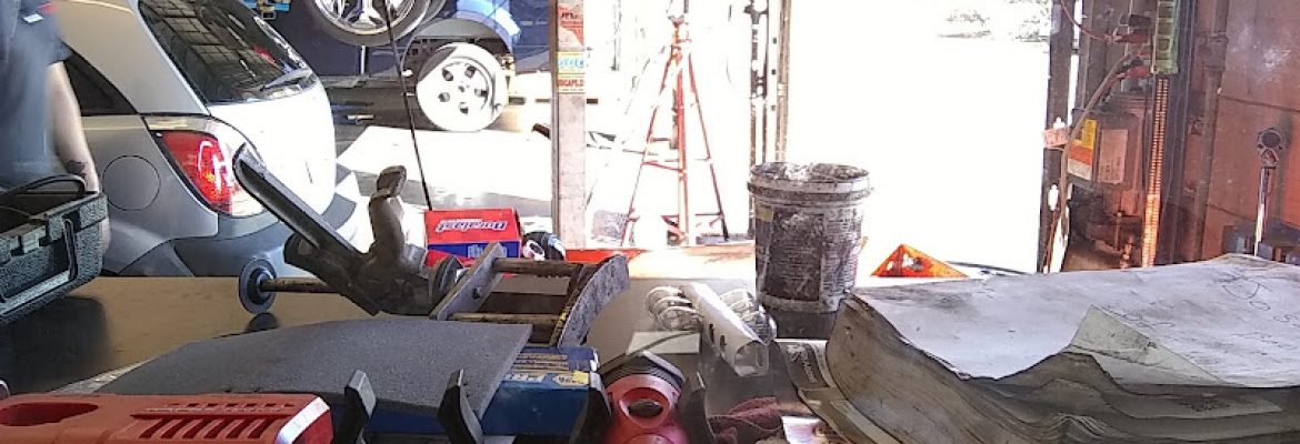 Tire Kingdom – New Tampa