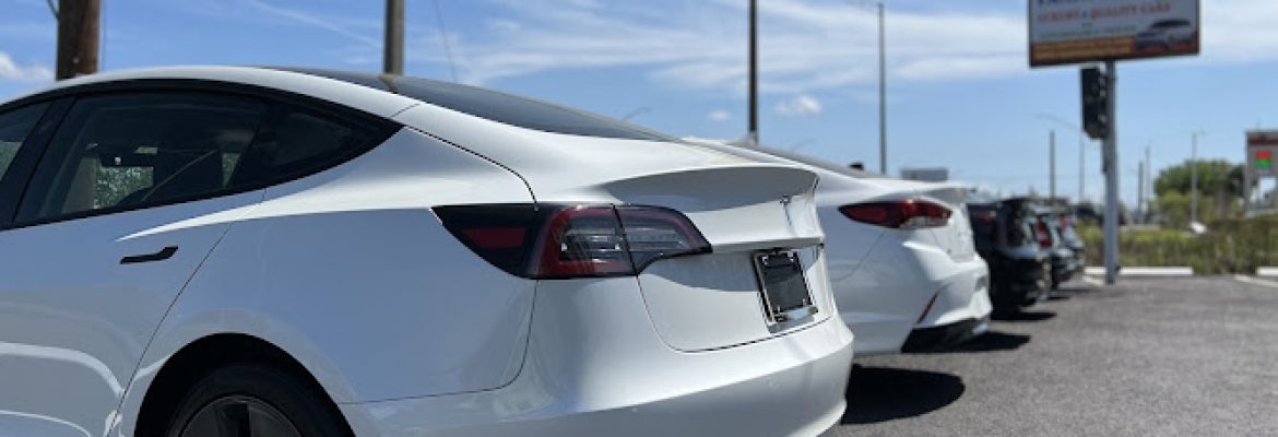 Tampa Bay Auto