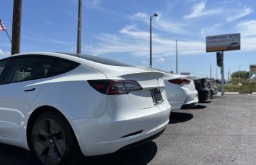 Tampa Bay Auto