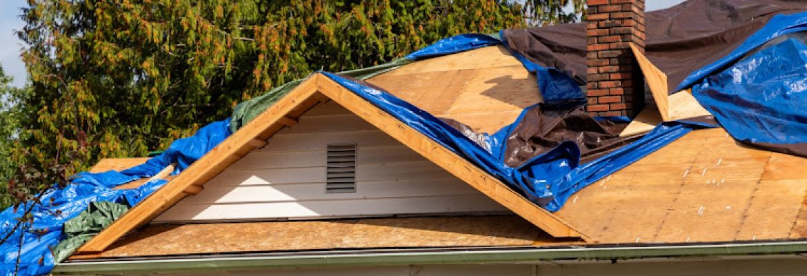 Castle Roofing & Construction