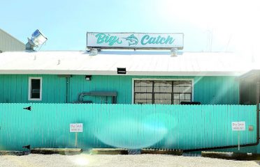 The Big Catch at Salt Creek