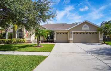 Kimberly Aguilar Realtor