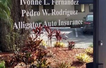 Alligator Auto Insurance of Tampa Bay