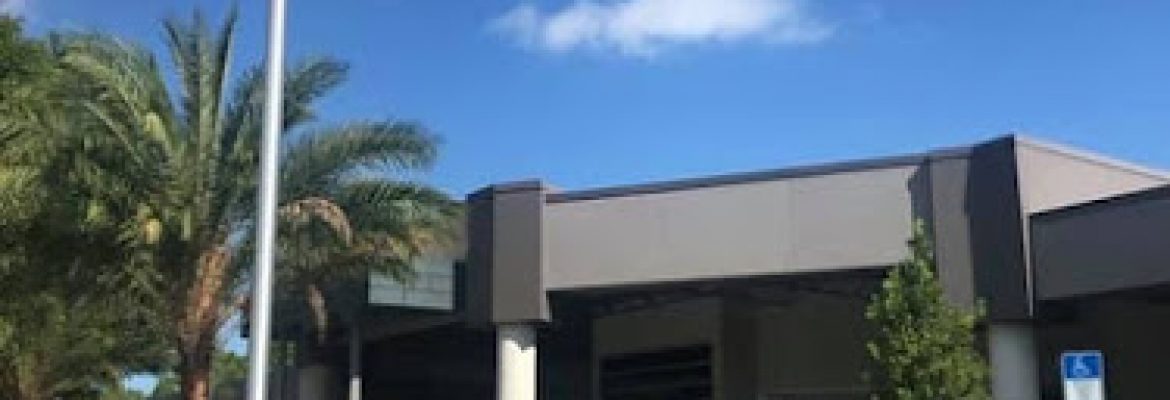 The Collection On Palmetto Foundation