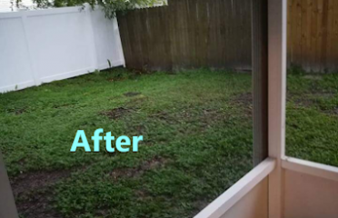 Your Handyman Solutions LLC