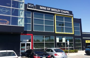 MINI of Wesley Chapel