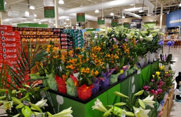 Publix Super Market at Goolsby Point Shopping Center