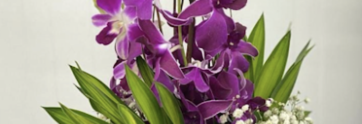 Milly’s Flowers & Events