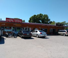 The Golden Food Store
