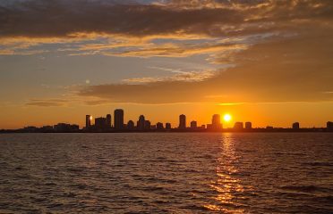 Tampa Bay Watch Discovery Center Eco-Tours