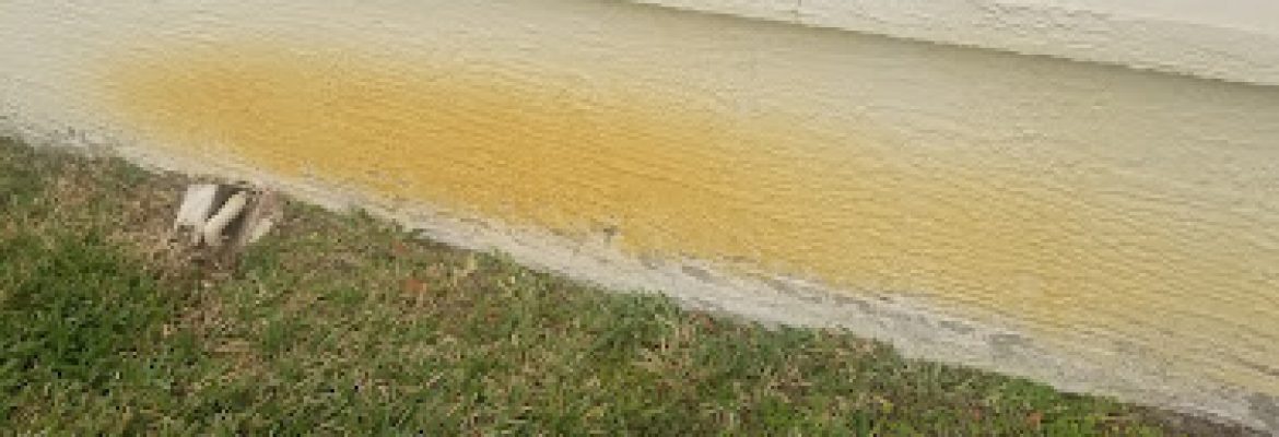 Tropical Exterior Cleanings