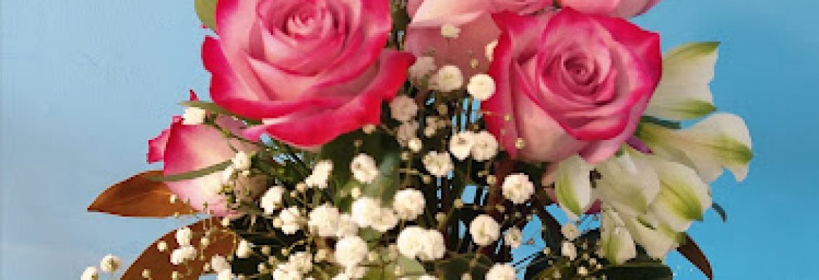 PETALS & BLOOMS FLOWERS