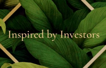 DTSP Investment Group, Inc.