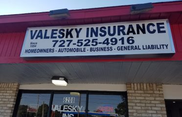 Valesky & Valesky Insurance