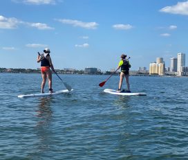 Tampa Bay SUP Stand Up Paddleboarding & Kayaking