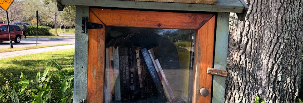 Moms little free library