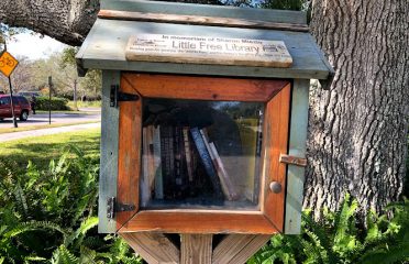 Moms little free library