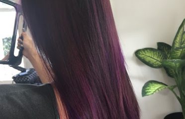 Muse The Salon