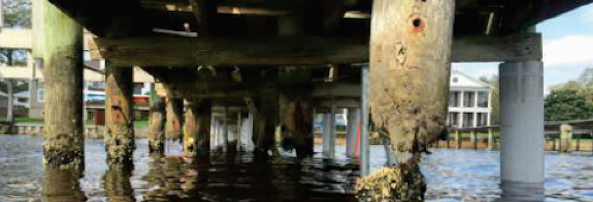 Pelican Piling Repair
