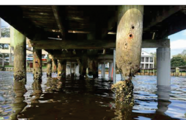 Pelican Piling Repair