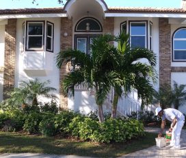 Pro Painters of Pinellas County