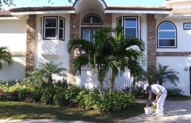 Pro Painters of Pinellas County
