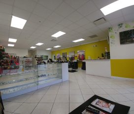 Roop’s Hair & Beauty Care (Best Threading Place in Tampa,Brandon)