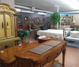 Dunedin Furniture Store & More