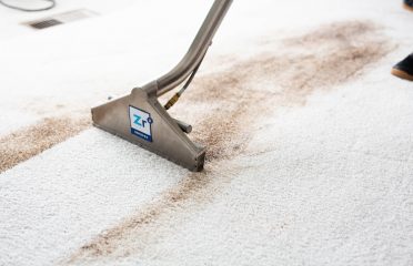 Zerorez Carpet Cleaning Tampa