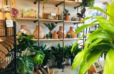Living Roots Eco Design, LLC