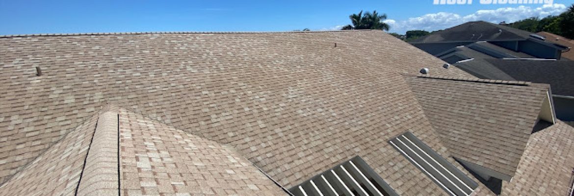 Perfection Pressure Washing and Roof Cleaning